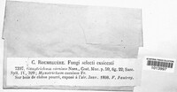 Chloridium caesium image